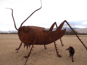 Borrego Springs