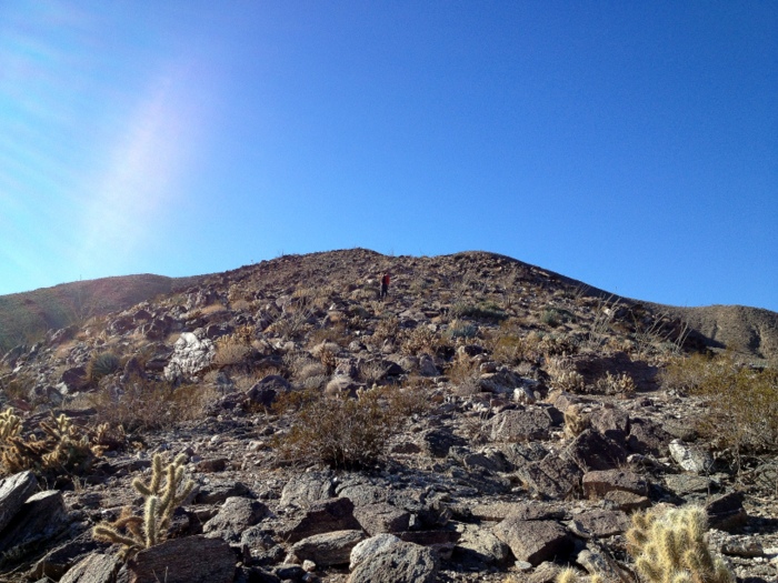 anza-borrego