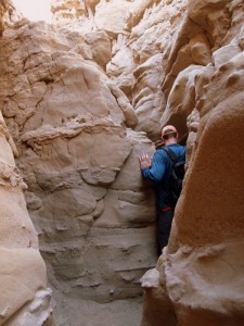 anza-borrego