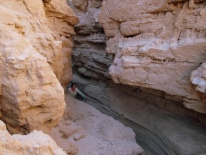 anza-borrego