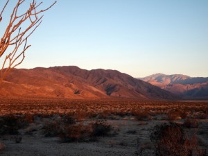 anza-borrego