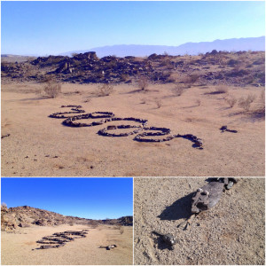 anza borrego