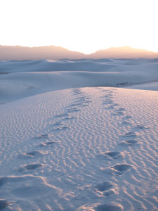 white sands