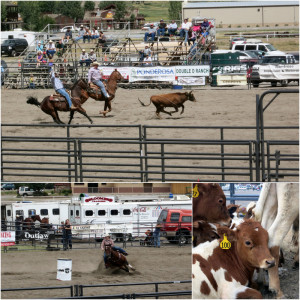 Ouray Country Fair