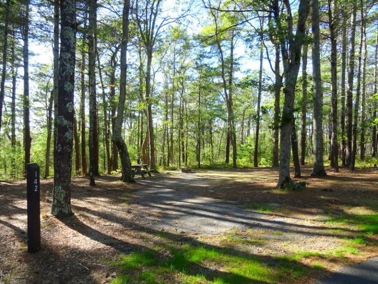 Escape to Nature's Embrace: Your Guide to Connecticut's Nickerson State Park