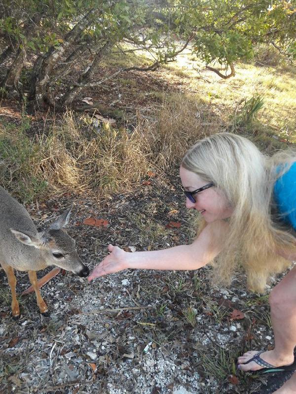 Making friends with the Key Deer