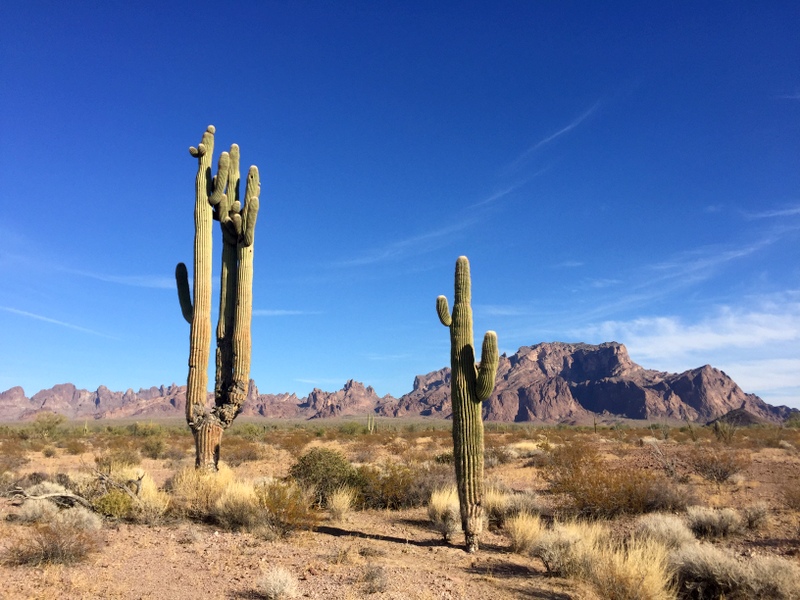 Kofa, Arizona