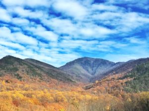 Great Smoky Mountains National Park